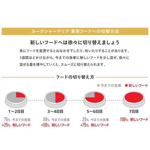 【12個セット】ロイヤルカナン ヨークシャーテリア 子犬用 500g BHN(ブリード ヘルス ニュートリション)rcdb23_9