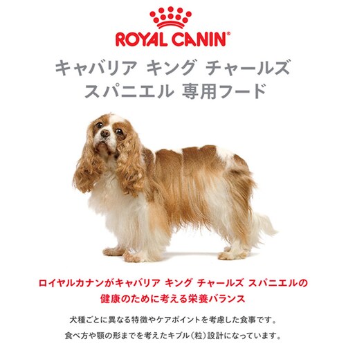 【3個セット】ロイヤルカナン キャバリア キング チャールズ 成犬・高齢犬用 3kg BHN(ブリード ヘルス ニュートリション)rcdb01_2