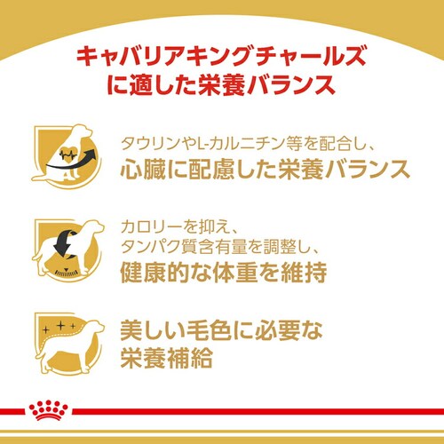 �y3�Z�b�g�z���C�����J�i�� �L���o���A �L���O �`���[���Y �����E����p 3kg BHN�i�u���[�h �w���X �j���[�g���V�����jrcdb01_3