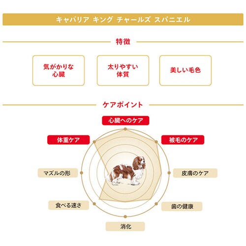 【3個セット】ロイヤルカナン キャバリア キング チャールズ 成犬・高齢犬用 3kg BHN(ブリード ヘルス ニュートリション)rcdb01_3