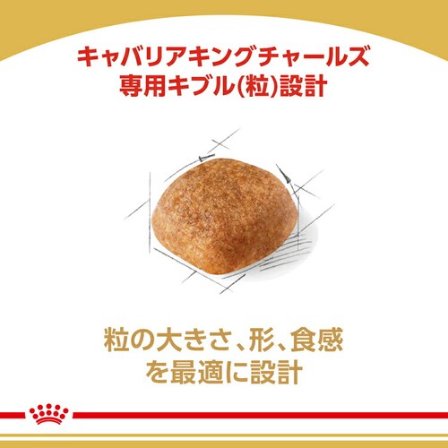 �y3�Z�b�g�z���C�����J�i�� �L���o���A �L���O �`���[���Y �����E����p 3kg BHN�i�u���[�h �w���X �j���[�g���V�����jrcdb01_4