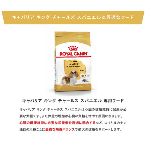 【3個セット】ロイヤルカナン キャバリア キング チャールズ 成犬・高齢犬用 3kg BHN(ブリード ヘルス ニュートリション)rcdb01_4