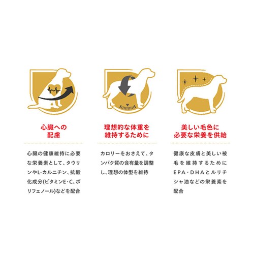 【3個セット】ロイヤルカナン キャバリア キング チャールズ 成犬・高齢犬用 3kg BHN(ブリード ヘルス ニュートリション)rcdb01_5