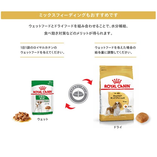 【3個セット】ロイヤルカナン キャバリア キング チャールズ 成犬・高齢犬用 3kg BHN(ブリード ヘルス ニュートリション)rcdb01_7