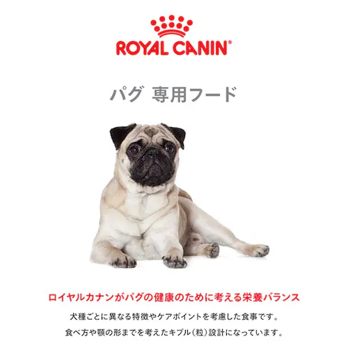 �y5�Z�b�g�z���C�����J�i�� �p�O �����`����p 1.5kg BHN�i�u���[�h �w���X �j���[�g���V�����jrcdb12_2