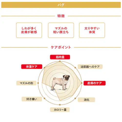 �y5�Z�b�g�z���C�����J�i�� �p�O �����`����p 1.5kg BHN�i�u���[�h �w���X �j���[�g���V�����jrcdb12_3