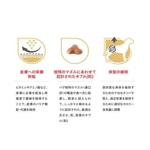 �y5�Z�b�g�z���C�����J�i�� �p�O �����`����p 1.5kg BHN�i�u���[�h �w���X �j���[�g���V�����jrcdb12_5