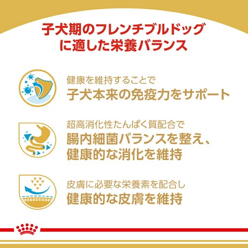 �y3�Z�b�g�z���C�����J�i�� �t�����`�u���h�b�O �q���p 3kg BHN�i�u���[�h �w���X �j���[�g���V�����jrcdb18_3