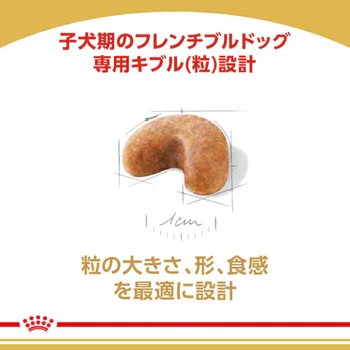�y3�Z�b�g�z���C�����J�i�� �t�����`�u���h�b�O �q���p 3kg BHN�i�u���[�h �w���X �j���[�g���V�����jrcdb18_4
