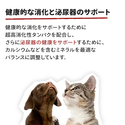 【6個セット】ロイヤルカナン ベビーキャット 子猫用 ミルク 300g FHN(フィーライン ヘルス ニュートリション)rccf01_2
