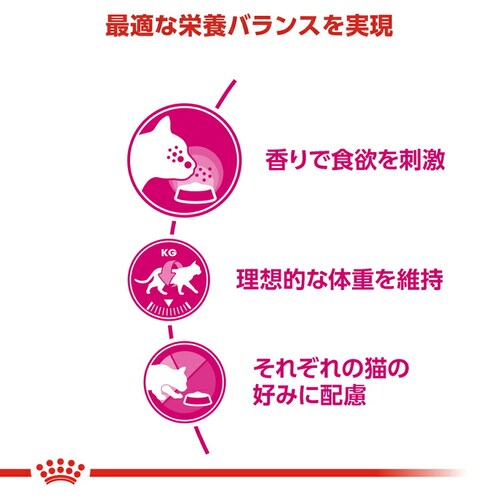 【12個セット】ロイヤルカナン アロマ エクシジェント アロマ・香りで食欲を刺激 成猫用 400gFHN(フィーライン ヘルス ニュートリション)rccf05_3