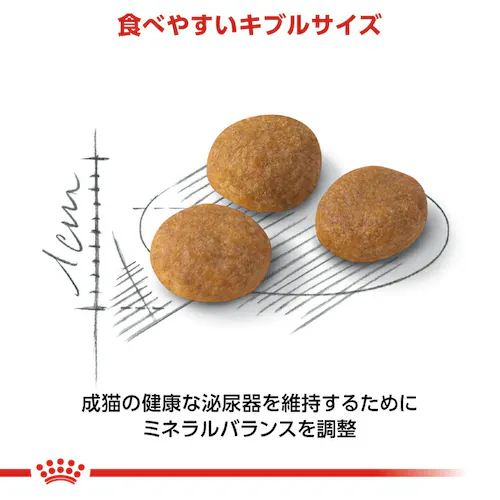 【12個セット】ロイヤルカナン アロマ エクシジェント アロマ・香りで食欲を刺激 成猫用 400gFHN(フィーライン ヘルス ニュートリション)rccf05_4