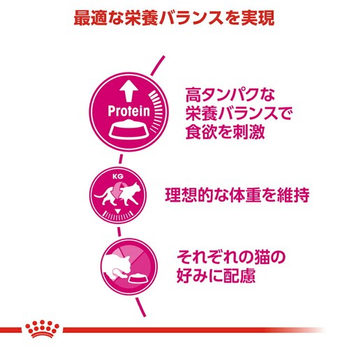 ロイヤルカナン プロテイン エクシジェント 高タンパクな栄養バランスで食欲を刺激 成猫用 400g FHN(フィーライン ヘルス ニュートリション)rccf45_3
