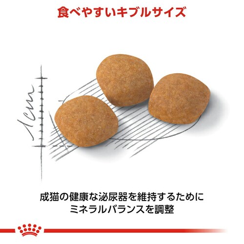 ロイヤルカナン プロテイン エクシジェント 高タンパクな栄養バランスで食欲を刺激 成猫用 400g FHN(フィーライン ヘルス ニュートリション)rccf45_4