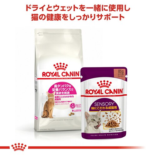ロイヤルカナン プロテイン エクシジェント 高タンパクな栄養バランスで食欲を刺激 成猫用 400g FHN(フィーライン ヘルス ニュートリション)rccf45_5
