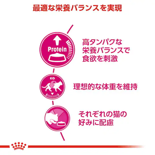 ロイヤルカナン エクシジェント トライアルセット 成猫用 120g×3種rccf02_7