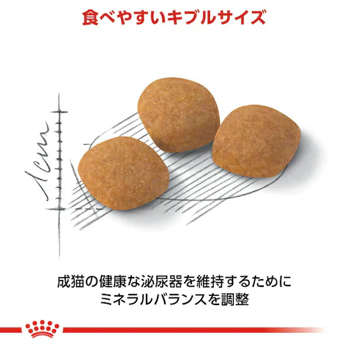 ロイヤルカナン エクシジェント トライアルセット 成猫用 120g×3種rccf02_8