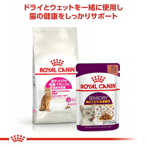 ロイヤルカナン エクシジェント トライアルセット 成猫用 120g×3種rccf02_9