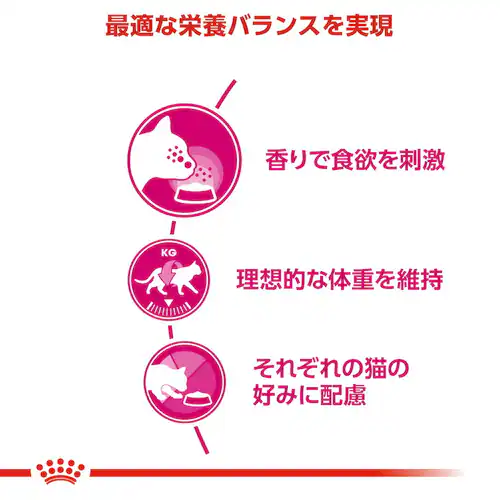 ロイヤルカナン エクシジェント トライアルセット 成猫用 120g×3種rccf02_11
