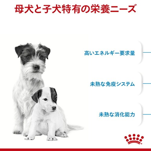 【10個セット】ロイヤルカナン ミニ スターター マザー&ベビードッグ 1kg SHN(サイズ ヘルス ニュートリション)rcdb50_2