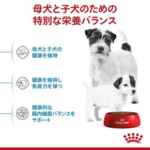 【10個セット】ロイヤルカナン ミニ スターター マザー&ベビードッグ 1kg SHN(サイズ ヘルス ニュートリション)rcdb50_3