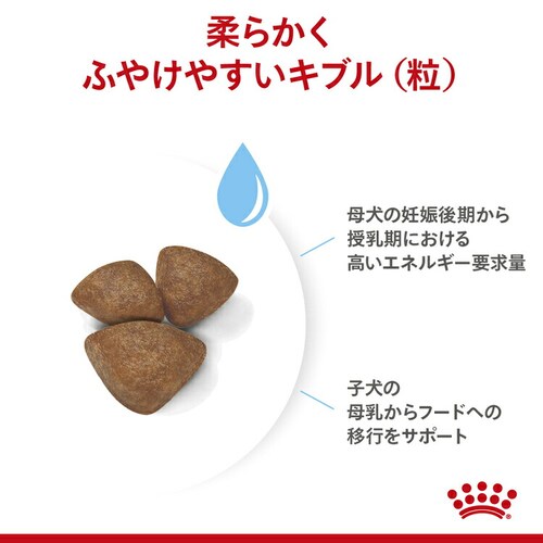 【10個セット】ロイヤルカナン ミニ スターター マザー&ベビードッグ 1kg SHN(サイズ ヘルス ニュートリション)rcdb50_4