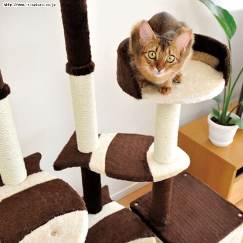 �L�̂������у|�[�� �����t�@�~���[ �~�h���^�C�v_2