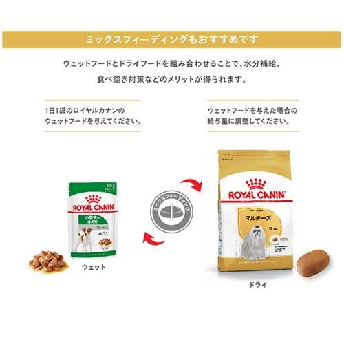 ロイヤルカナン マルチーズ 成犬・高齢犬用 1.5kg BHN(ブリード ヘルス ニュートリション)rcdb19_7