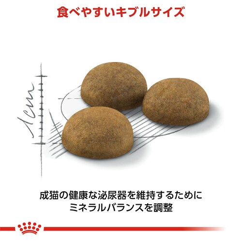 �y4�Z�b�g�z���C�����J�i�� �C���h�A �����O�w�A�[ �h���C�t�[�h 4kg ��� �������� FHN�i�t�B�[���C�� �w���X �j���[�g���V�����jrccf08_4