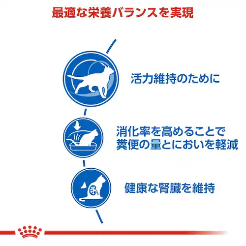 【4個セット】ロイヤルカナン 猫 インドア 7+ 3.5kg 室内で生活する中高齢猫用 rccf07_3
