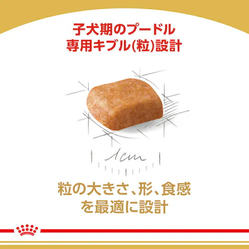 �y6�Z�b�g�z���C�����J�i�� �v�[�h�� �q���p 1.5kg BHN�i�u���[�h �w���X �j���[�g���V�����jrcdb16_4