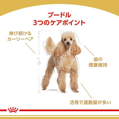 ロイヤルカナン プードル 成犬用 800g BHN(ブリード ヘルス ニュートリション)rcdb13_2