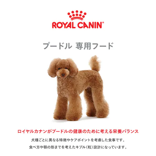 【4個セット】 ロイヤルカナン プードル 成犬用 3kg BHN(ブリード ヘルス ニュートリション)rcdb13_2
