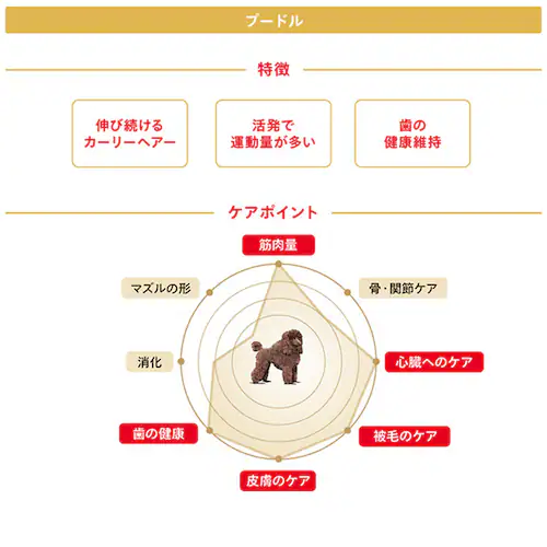 【4個セット】 ロイヤルカナン プードル 成犬用 3kg BHN(ブリード ヘルス ニュートリション)rcdb13_3