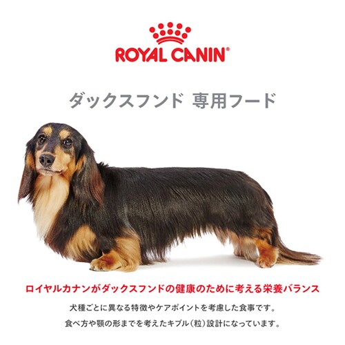 ロイヤルカナン ダックスフンド 子犬用 800g BHN(ブリード ヘルス ニュートリション)rcdb08_2