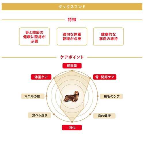 ロイヤルカナン ダックスフンド 子犬用 800g BHN(ブリード ヘルス ニュートリション)rcdb08_3