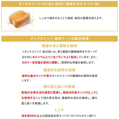 ロイヤルカナン ダックスフンド 子犬用 800g BHN(ブリード ヘルス ニュートリション)rcdb08_6