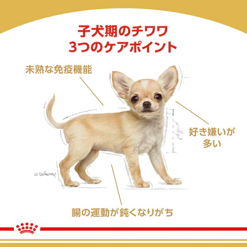 �y6�Z�b�g�z���C�����J�i�� �`���� �q���p 1.5kg BHN�i�u���[�h �w���X �j���[�g���V�����jrcdb11_2