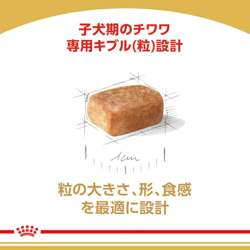 �y6�Z�b�g�z���C�����J�i�� �`���� �q���p 1.5kg BHN�i�u���[�h �w���X �j���[�g���V�����jrcdb11_4