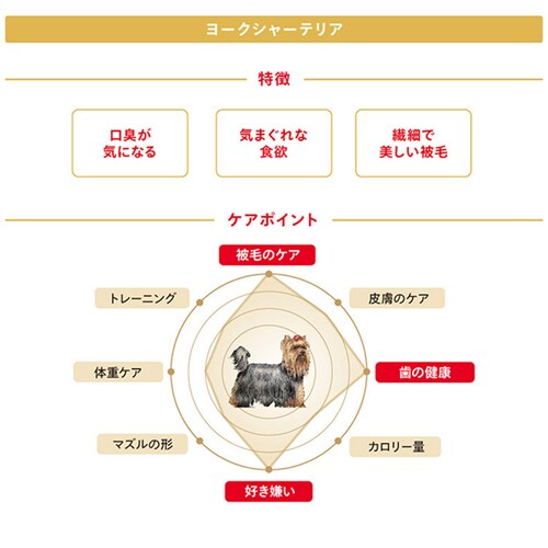 ロイヤルカナン ヨークシャーテリア 成犬・高齢犬用 800g rcdb22_3