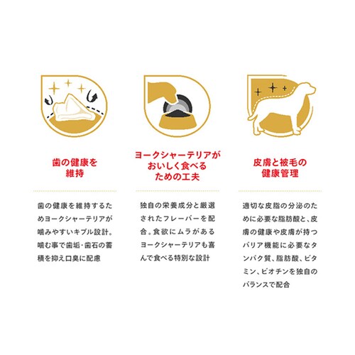 ロイヤルカナン ヨークシャーテリア 成犬・高齢犬用 800g rcdb22_5