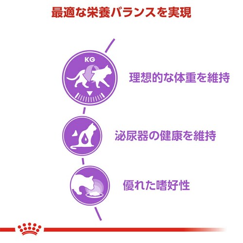 【48個セット】 ロイヤルカナン FHN-WET ステアライズド 適正体重の維持が難しい成猫用 85g FHN(フィーライン ヘルス ニュートリション)rccf42_3