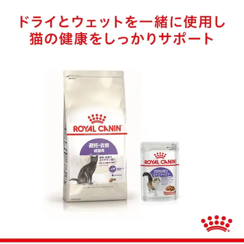 【48個セット】 ロイヤルカナン FHN-WET ステアライズド 適正体重の維持が難しい成猫用 85g FHN(フィーライン ヘルス ニュートリション)rccf42_4