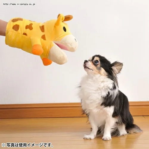 �{���r�A���R�� �A�j�}���~�g�� HAPPY ZOO ���� �y�b�g �������� _3