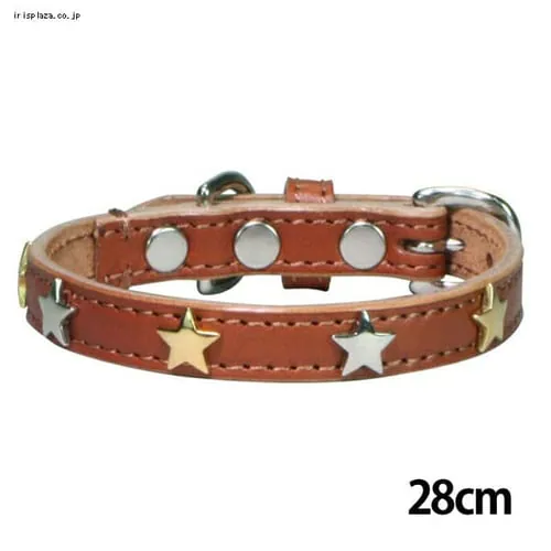 BIRDIE �X�^�[���^���J���[ 28cm ���b�h_2