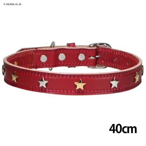 BIRDIE �X�^�[���^���J���[ 28cm ���b�h_7