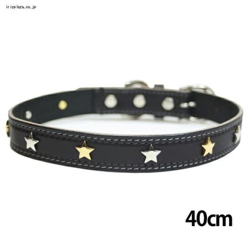 BIRDIE �X�^�[���^���J���[ 28cm ���b�h_9