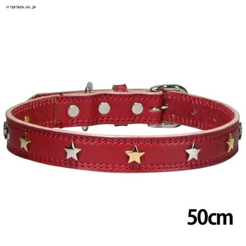 BIRDIE �X�^�[���^���J���[ 28cm ���b�h_10