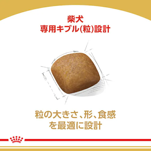 �y2�Z�b�g�z ���C�����J�i�� �Č� �����p 8kg BHN�i�u���[�h �w���X �j���[�g���V�����jrcdb27_5