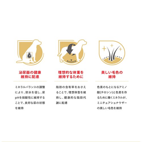 ロイヤルカナン ミニチュアシュナウザー 子犬用 1.5kg BHN(ブリード ヘルス ニュートリション)rcdb21_5